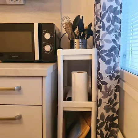Homely Mila Apartment *